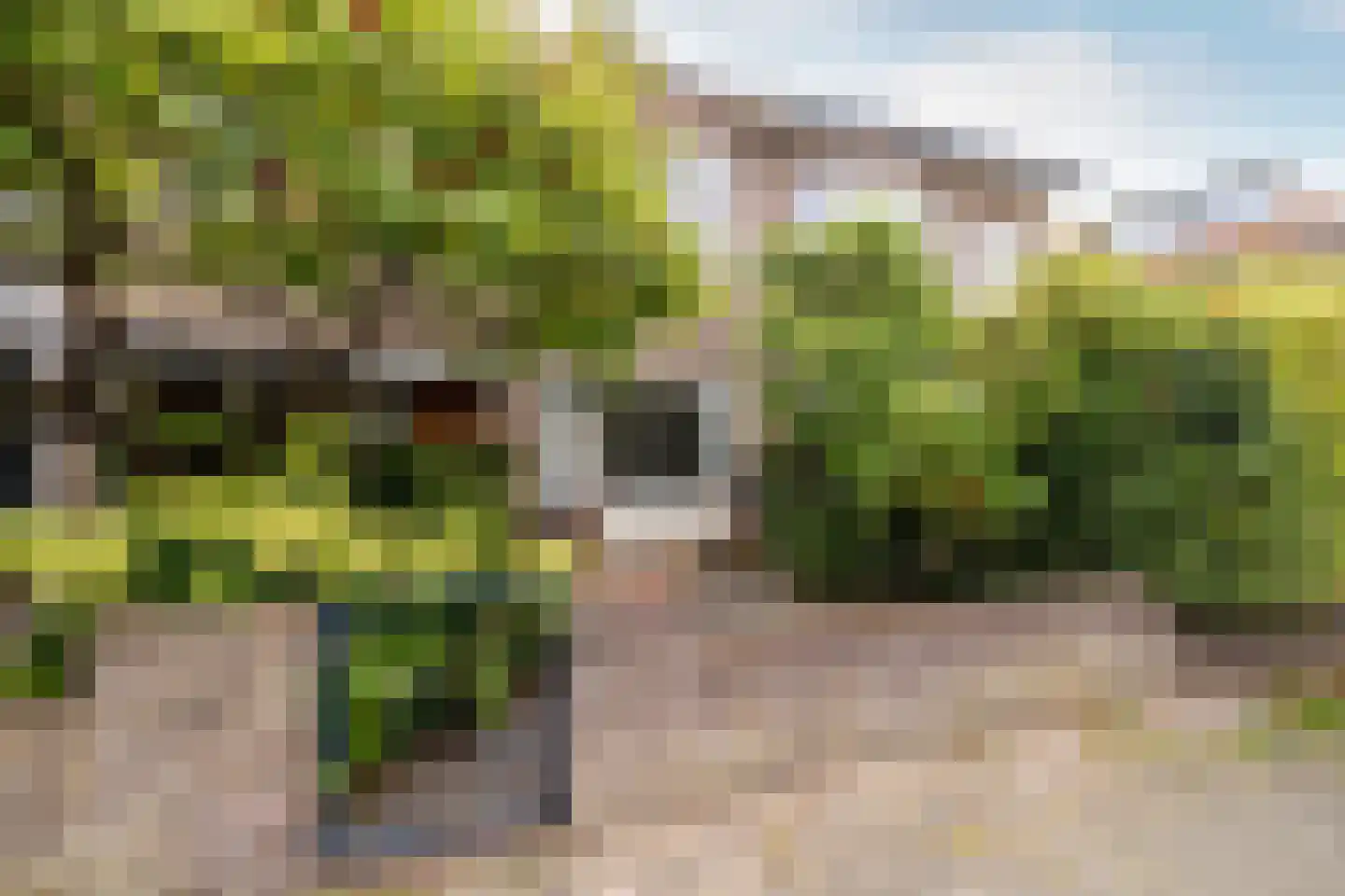 Spadestraat 4 Breda thumbnail 6
