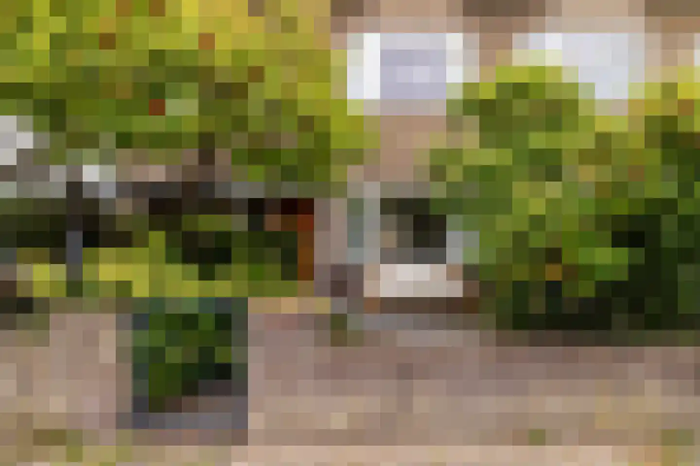 Spadestraat 4 Breda thumbnail 7