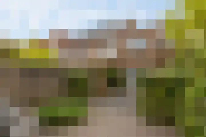 Spadestraat 48 Breda thumbnail 32