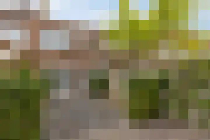 Spadestraat 48 Breda thumbnail 33