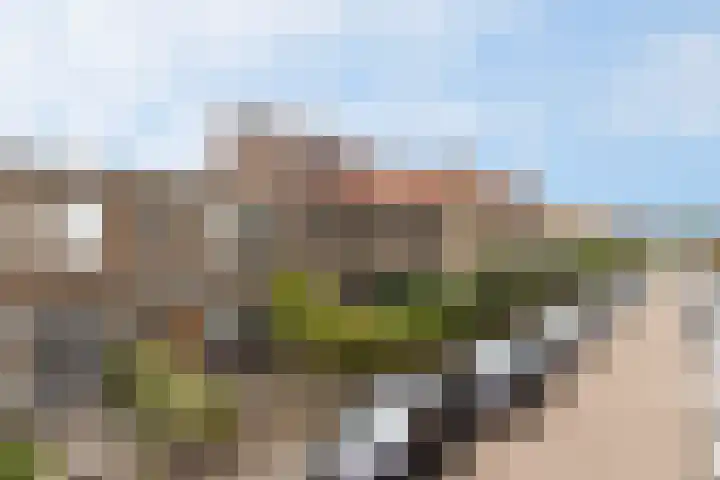 Spadestraat 48 Breda thumbnail 34