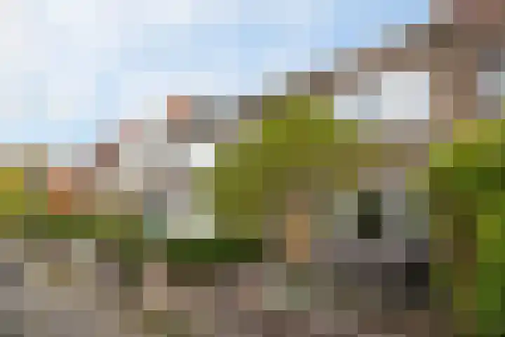 Spadestraat 48 Breda thumbnail 35