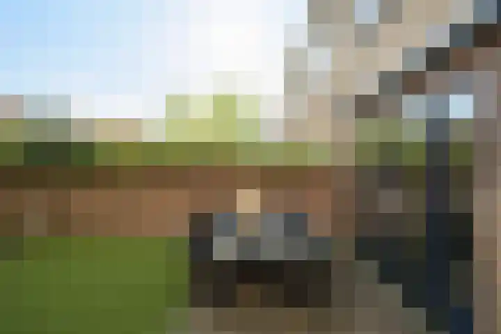 Spadestraat 54 Breda thumbnail 33