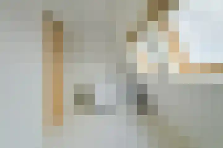 Spadestraat 54 Breda thumbnail 55