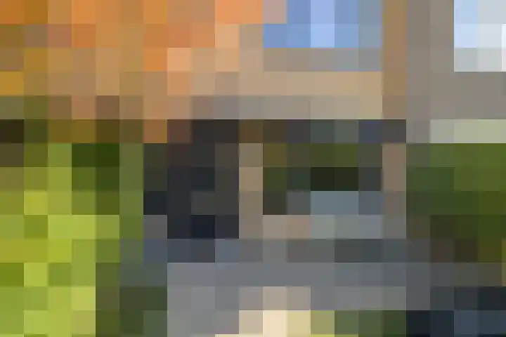 Spadestraat 54 Breda thumbnail 8