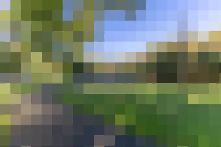 Spadestraat 67 Purmerend thumbnail 43