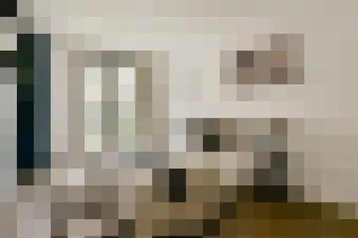 Spadinalaan 117 Amsterdam thumbnail 12