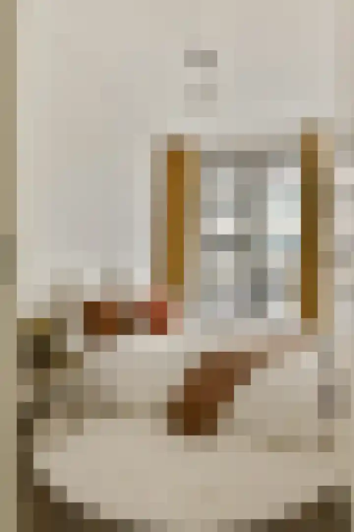 Spadinalaan 117 Amsterdam thumbnail 15