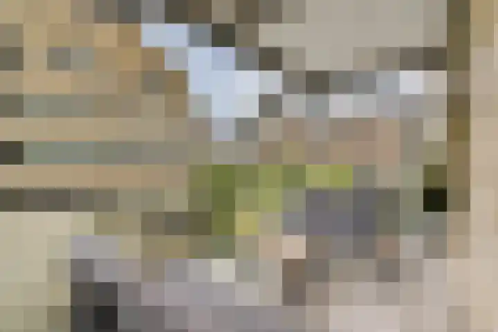 Spadinalaan 117 Amsterdam thumbnail 5