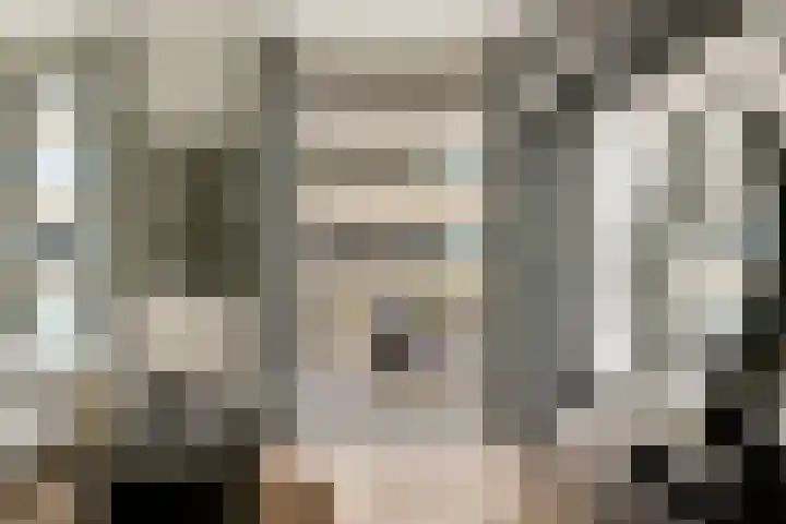 Spadinalaan 117 Amsterdam thumbnail 7