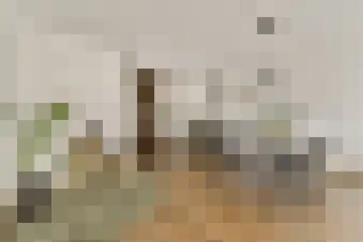 Spadinalaan 117 Amsterdam thumbnail 8
