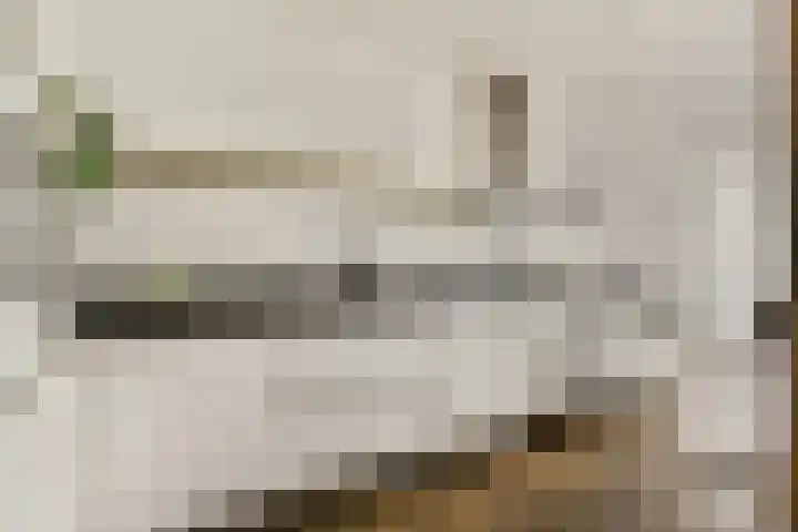 Spadinalaan 117 Amsterdam thumbnail 9