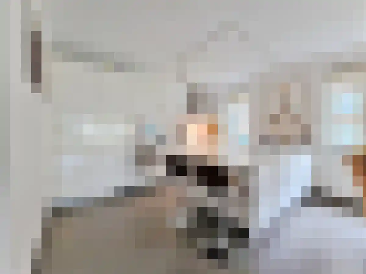 Spadinalaan 20 Amsterdam thumbnail 4