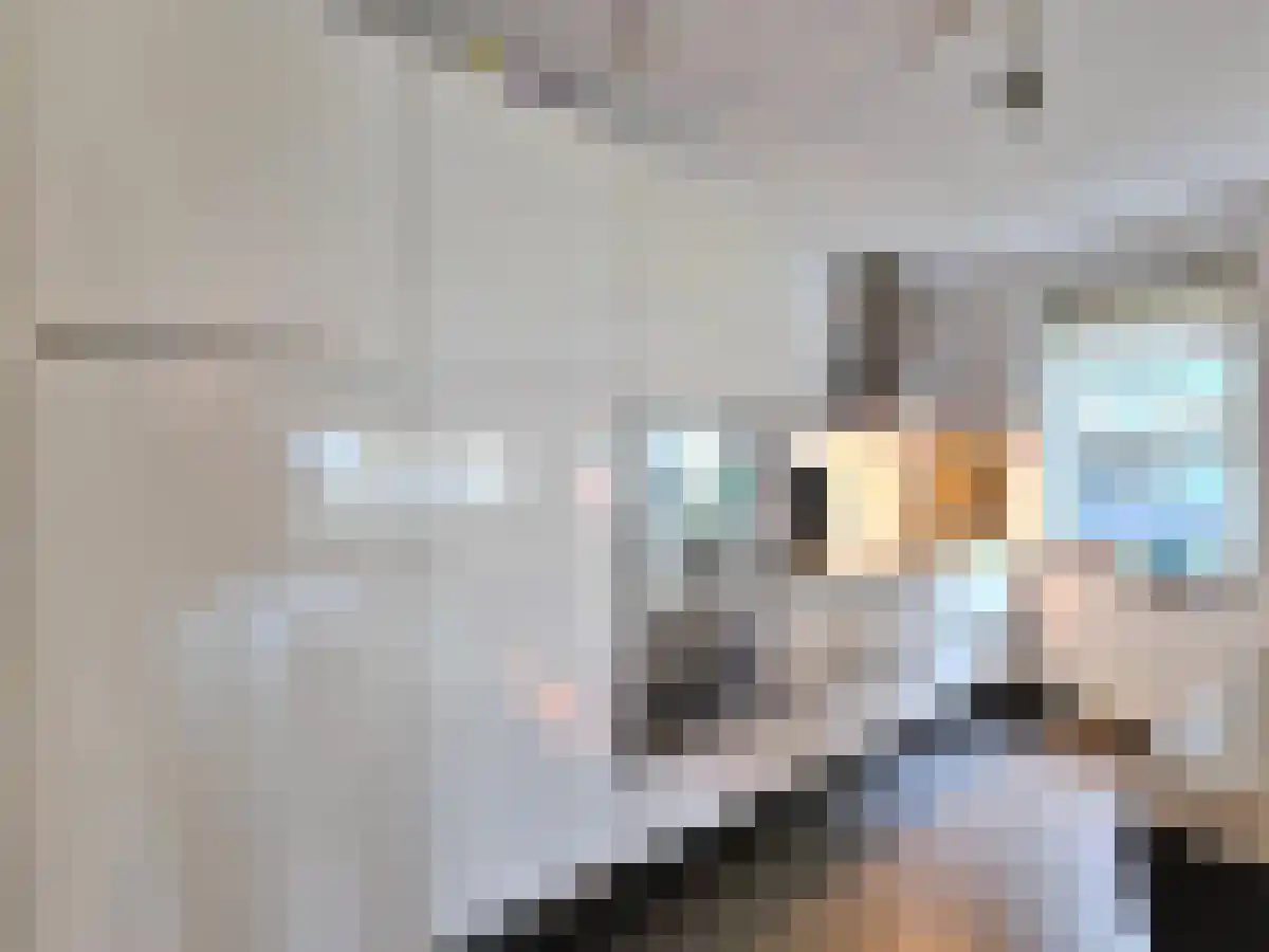Spadinalaan 20 Amsterdam thumbnail 5