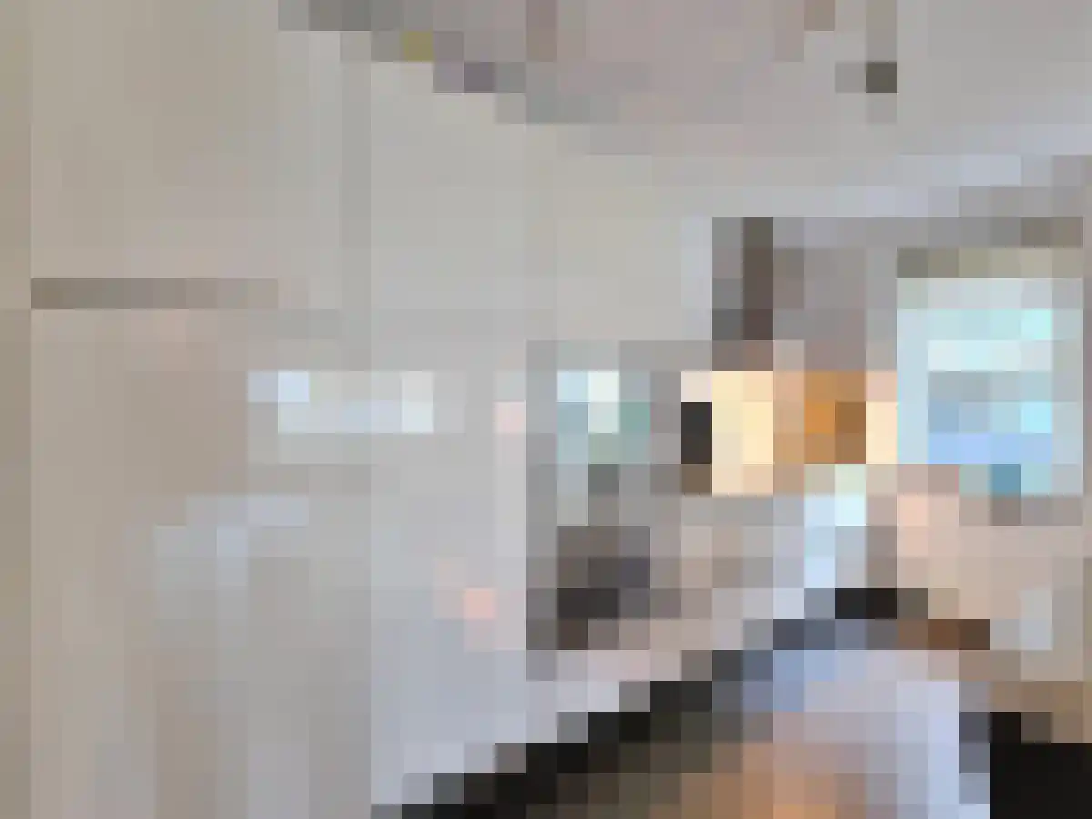Spadinalaan 22 Amsterdam thumbnail 5