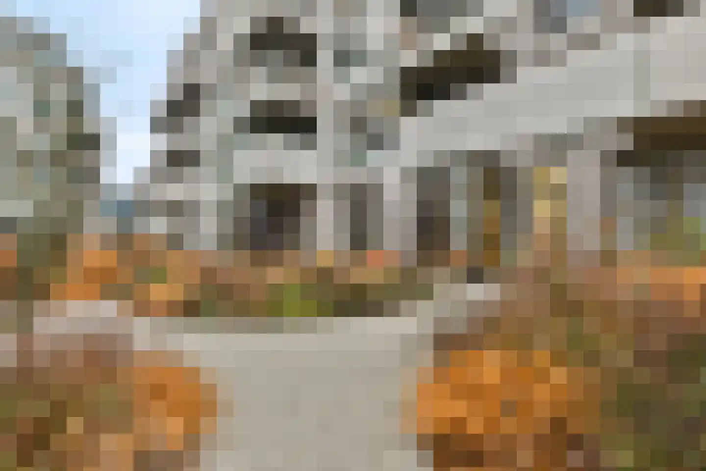 Spadinalaan 353 Amsterdam thumbnail 17
