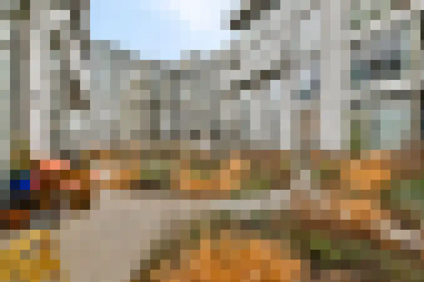 Spadinalaan 353 Amsterdam thumbnail 4