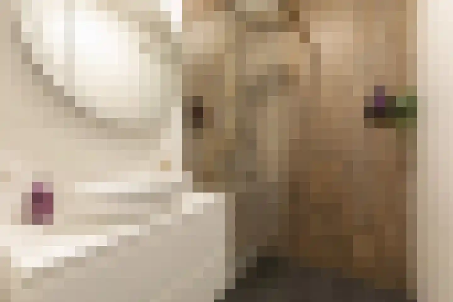 Spadinalaan 369 Amsterdam thumbnail 14