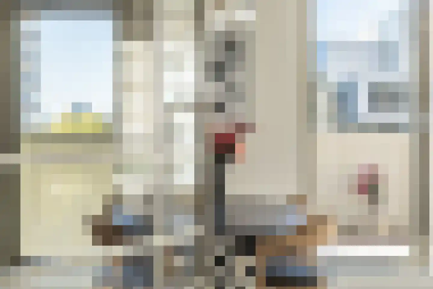 Spadinalaan 369 Amsterdam thumbnail 16