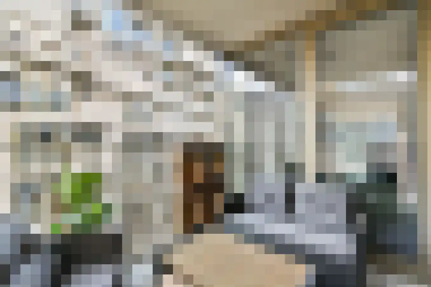 Spadinalaan 401 Amsterdam thumbnail 13