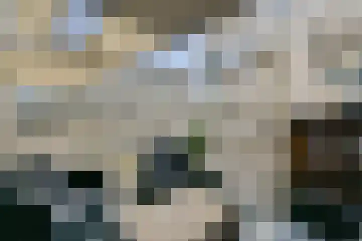 Spadinalaan 401 Amsterdam thumbnail 14