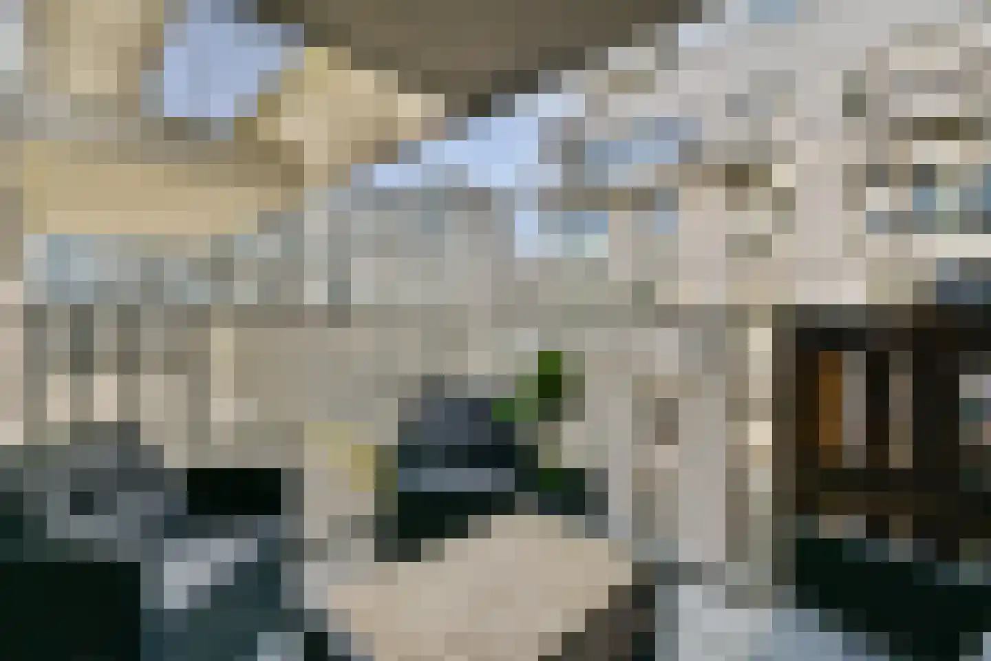 Spadinalaan 401 Amsterdam thumbnail 14