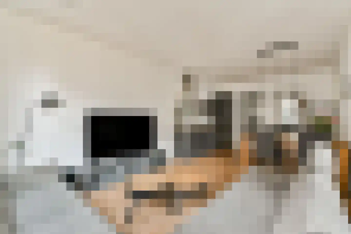 Spadinalaan 401 Amsterdam thumbnail 7