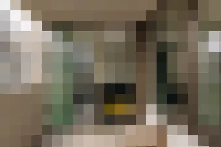 Spadinalaan 421 Amsterdam thumbnail 18