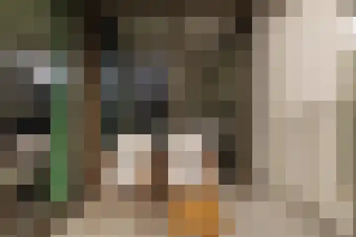 Spadinalaan 421 Amsterdam thumbnail 19