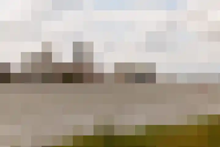Spadinalaan 421 Amsterdam thumbnail 22