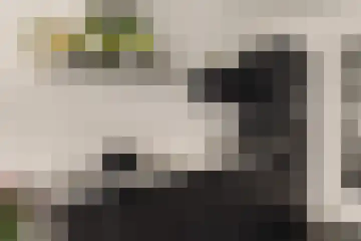 Spadinalaan 421 Amsterdam thumbnail 4