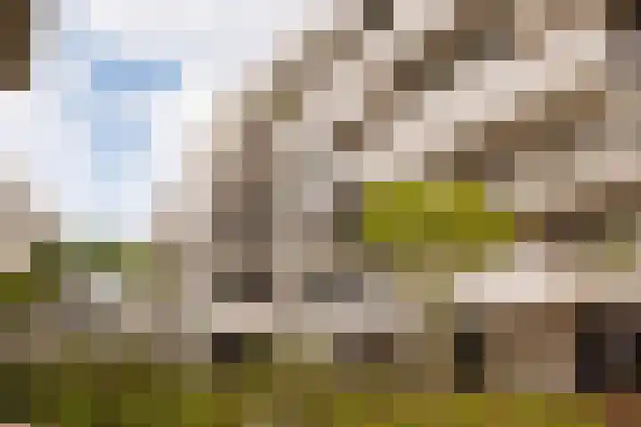 Spadinalaan 421 Amsterdam thumbnail 7