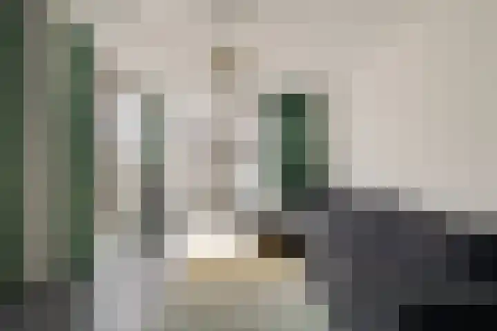 Spadinalaan 421 Amsterdam thumbnail 8