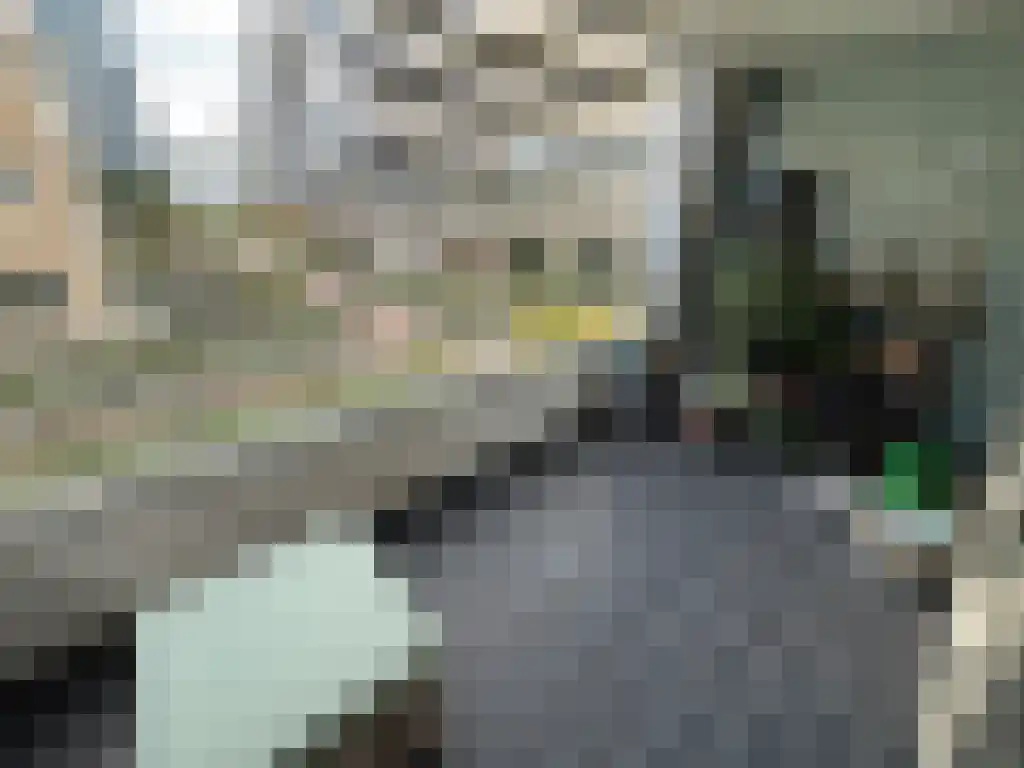 Spadinalaan 454 Amsterdam thumbnail 6