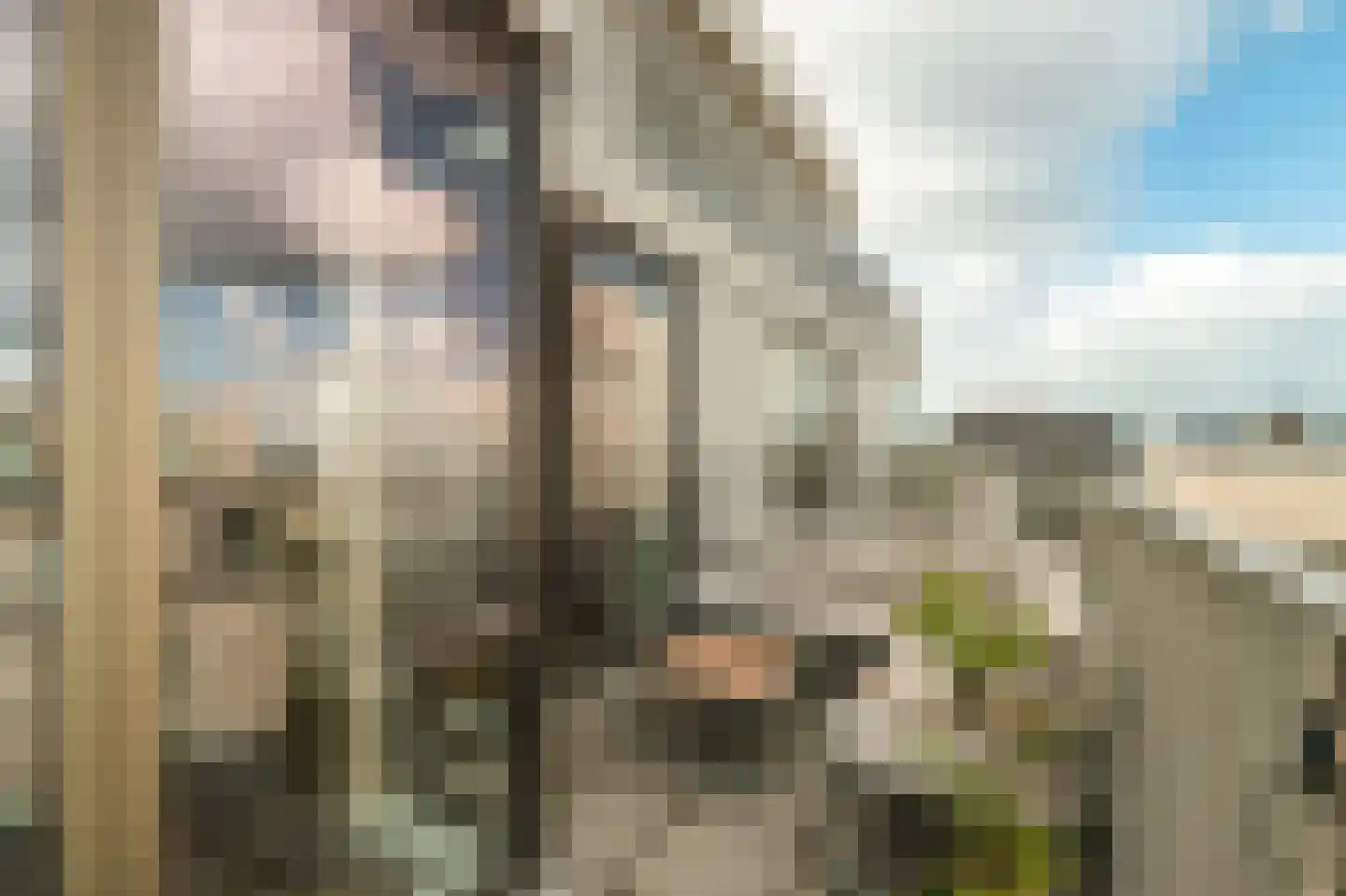Spadinalaan 459 Amsterdam thumbnail 15