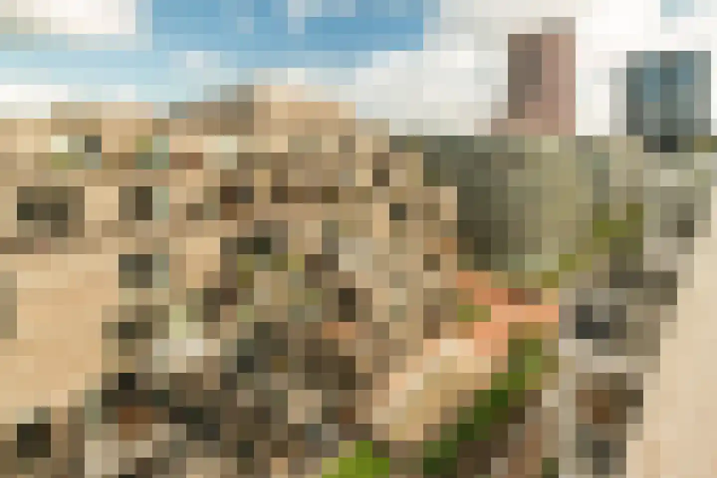 Spadinalaan 459 Amsterdam thumbnail 25