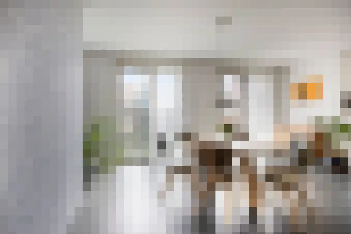 Spadinalaan 59 Amsterdam thumbnail 15