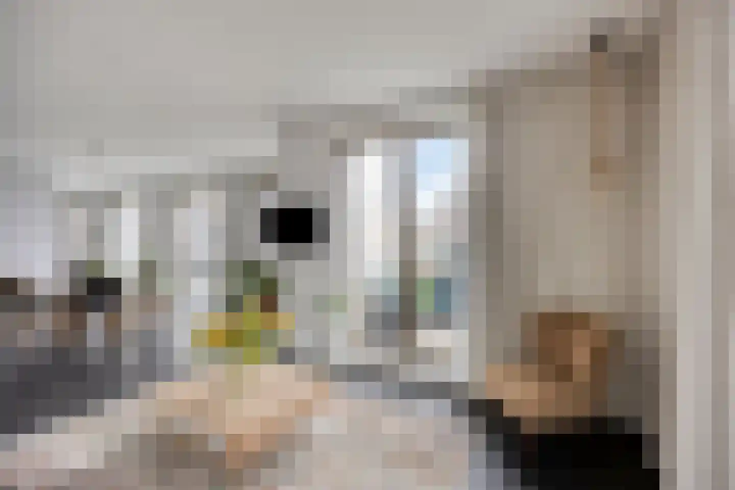 Spadinalaan 59 Amsterdam thumbnail 6