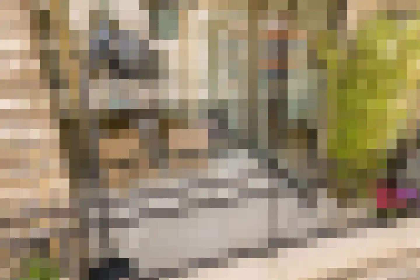 Spadinalaan 605 Amsterdam thumbnail 22