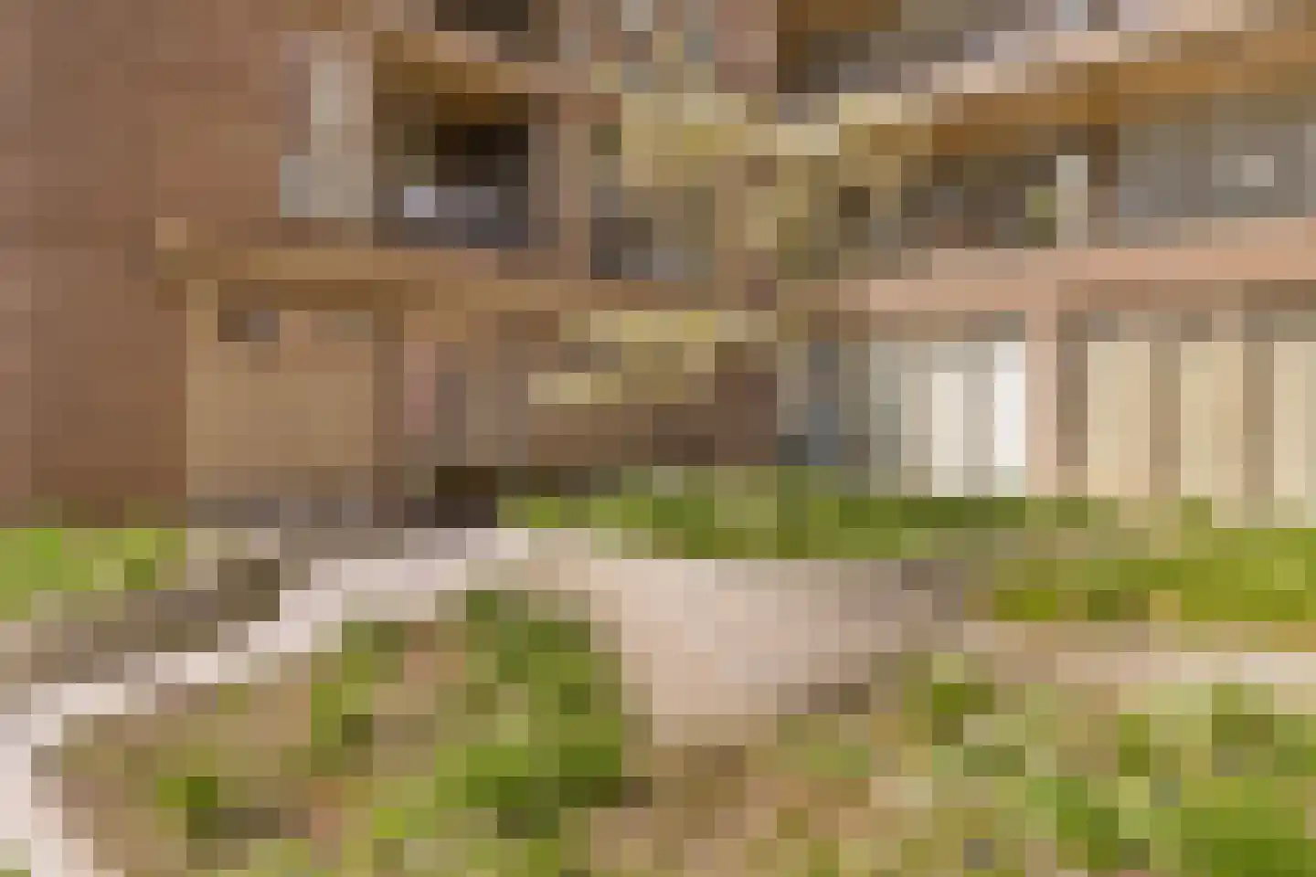 Spadinalaan 605 Amsterdam thumbnail 4