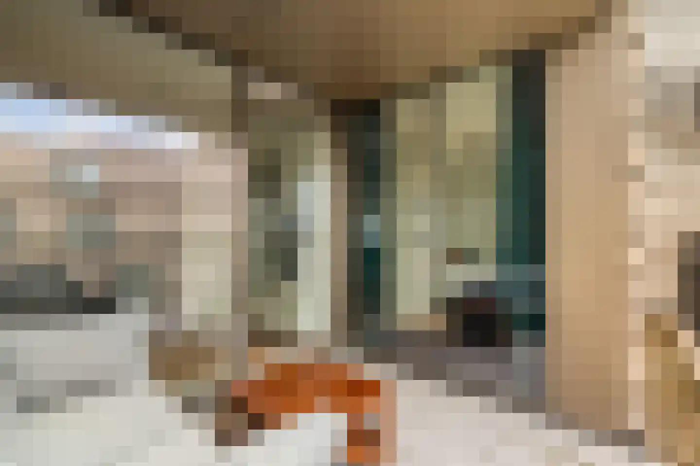 Spadinalaan 615 Amsterdam thumbnail 12