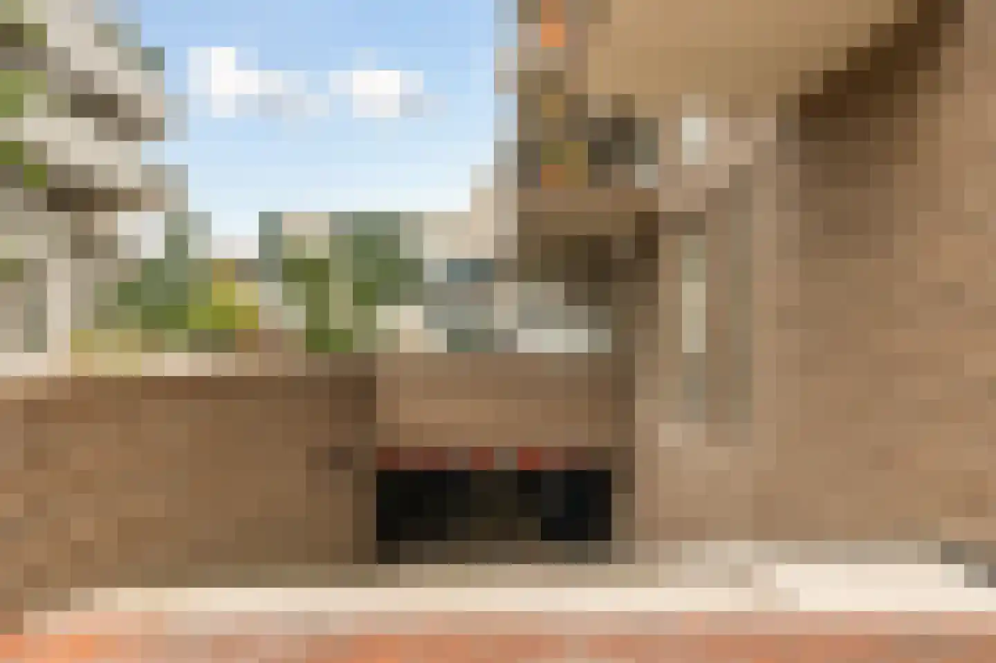 Spadinalaan 615 Amsterdam thumbnail 20