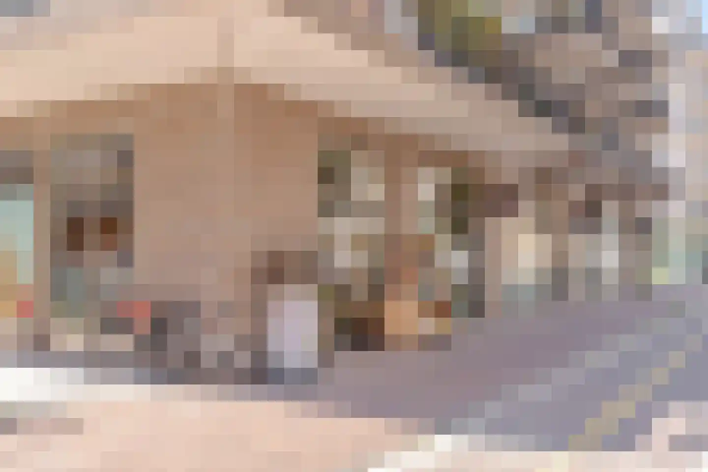 Spadinalaan 615 Amsterdam thumbnail 25