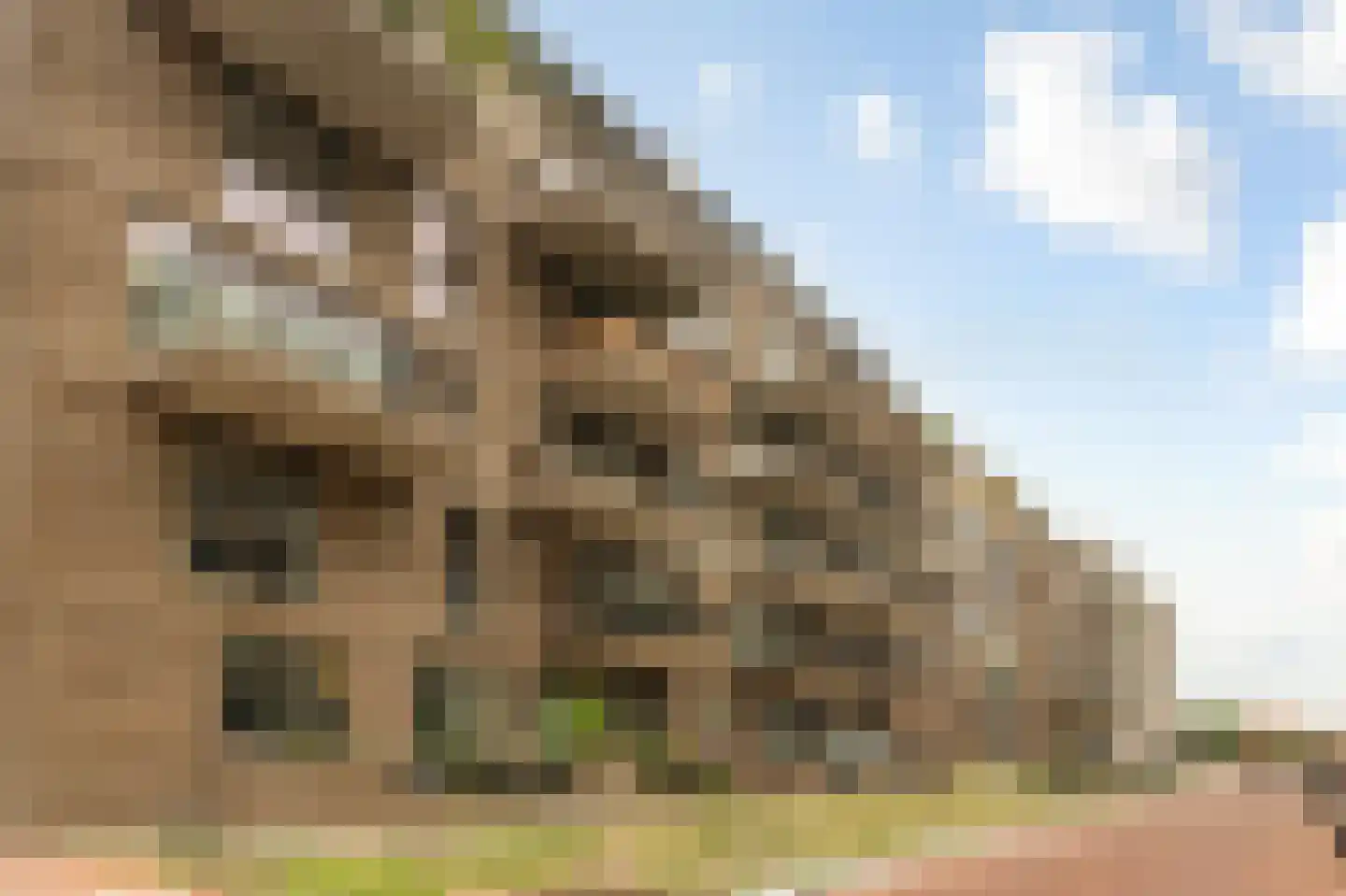 Spadinalaan 615 Amsterdam thumbnail 32