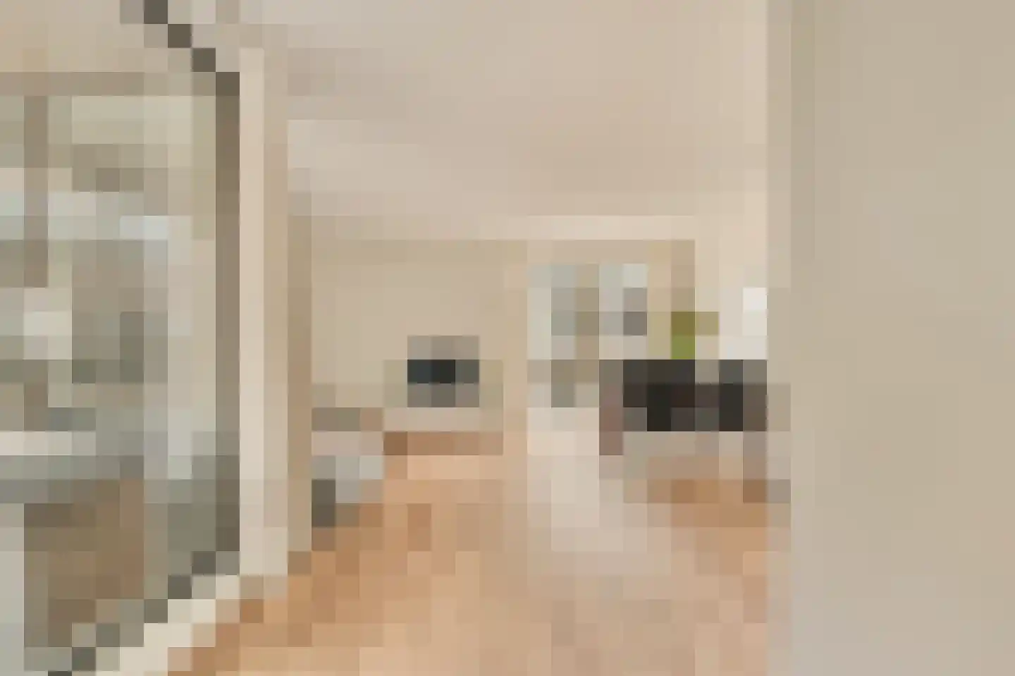 Spadinalaan 615 Amsterdam thumbnail 5
