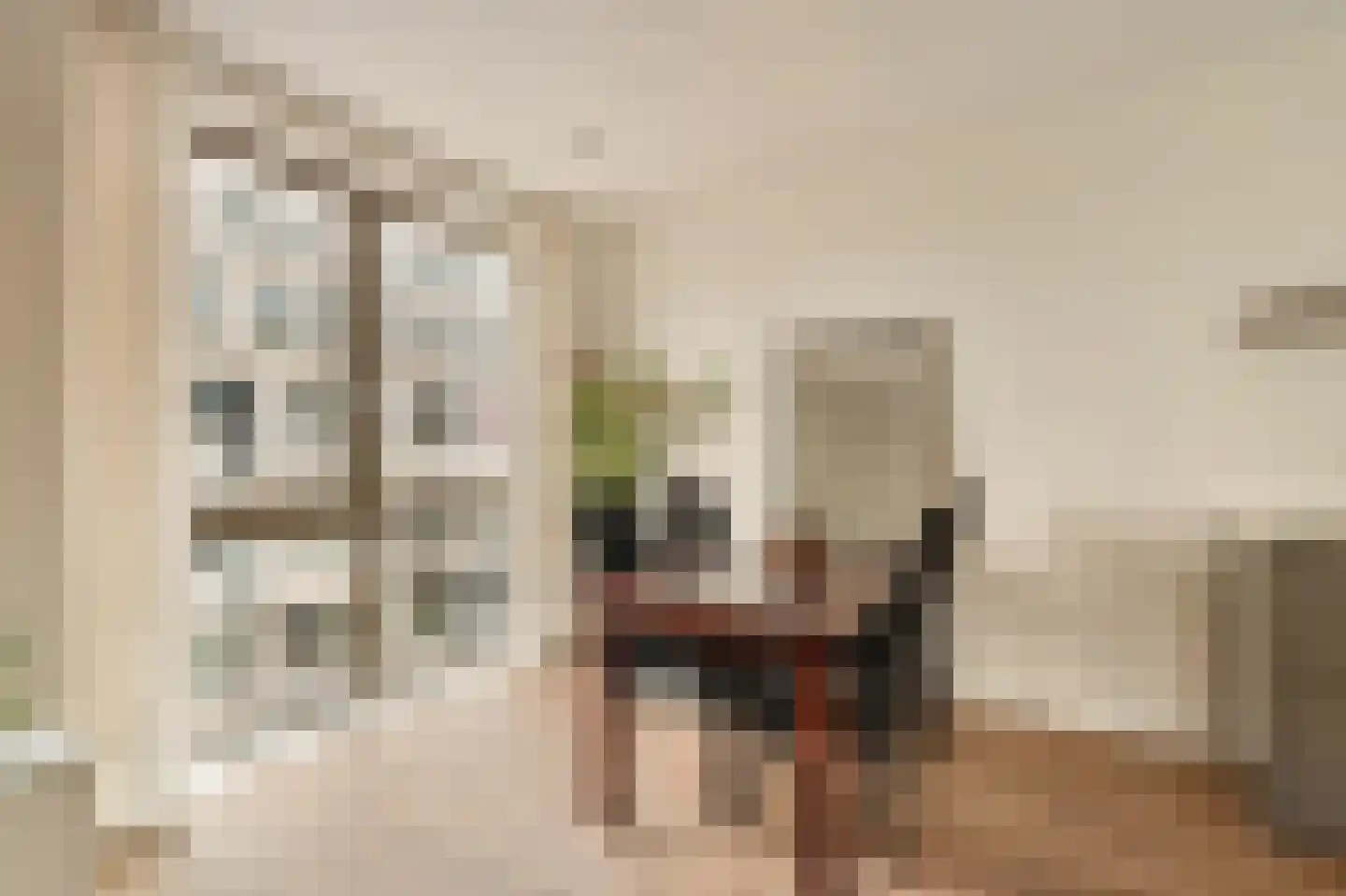 Spadinalaan 615 Amsterdam thumbnail 7
