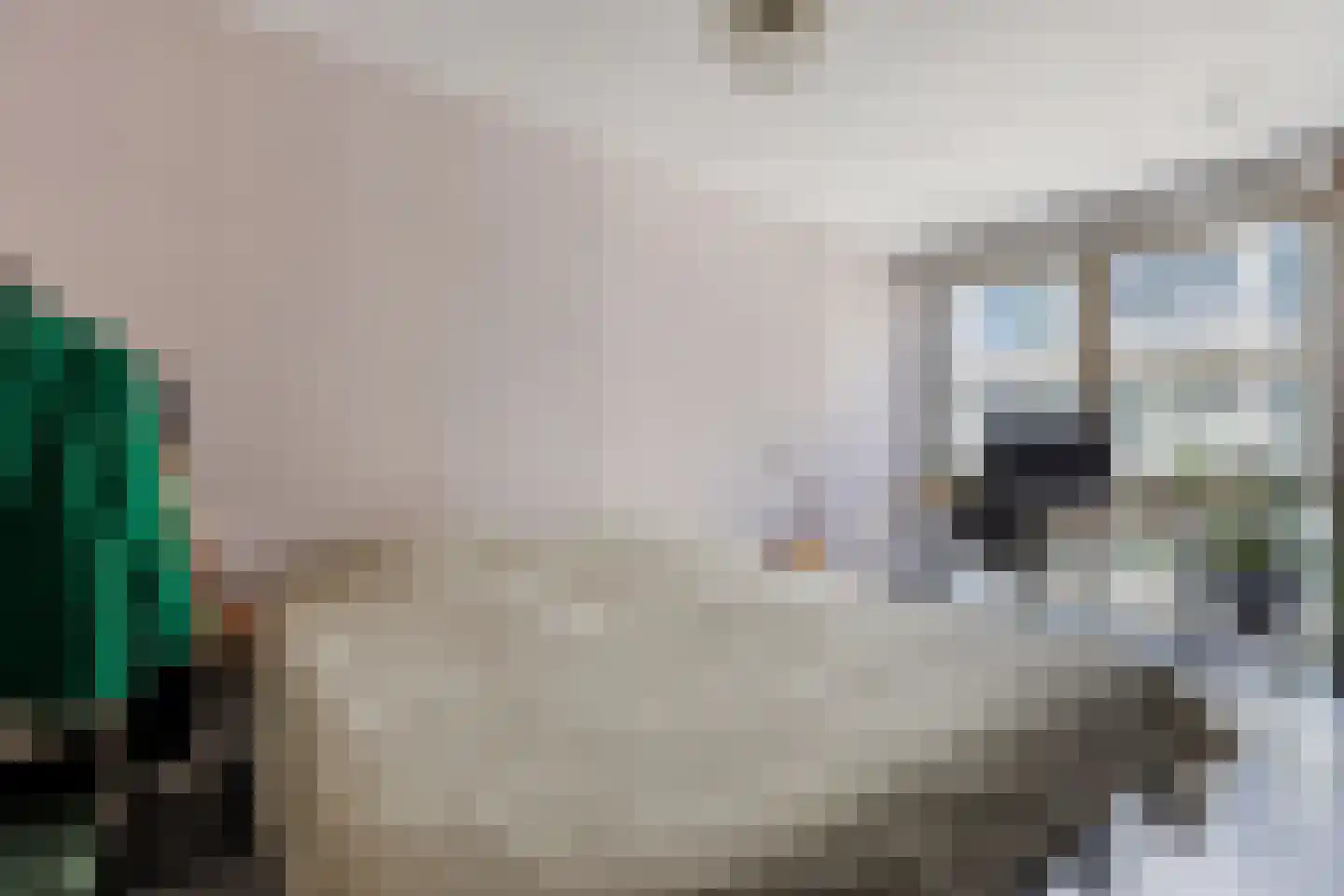 Spadinalaan 667 Amsterdam thumbnail 17