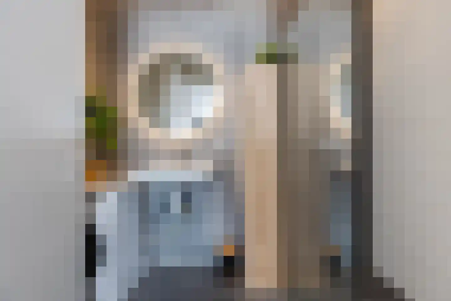 Spadinalaan 667 Amsterdam thumbnail 18
