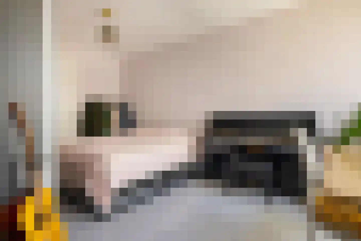 Spadinalaan 667 Amsterdam thumbnail 19