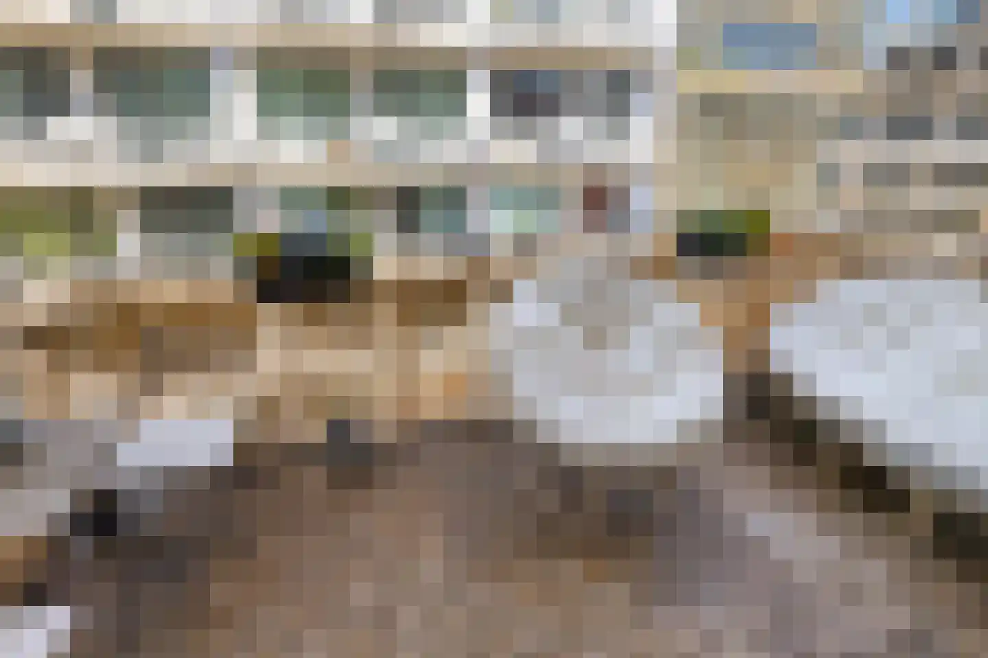 Spadinalaan 667 Amsterdam thumbnail 26